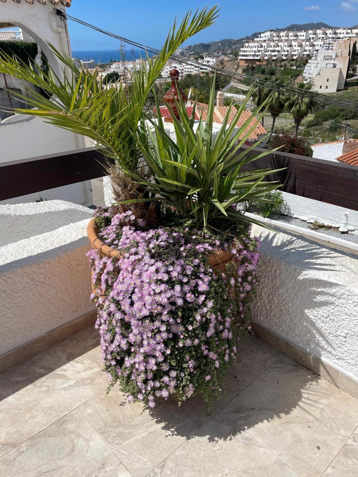 Naricha 1 Menyber Villa Nerja Eksteriør bilde